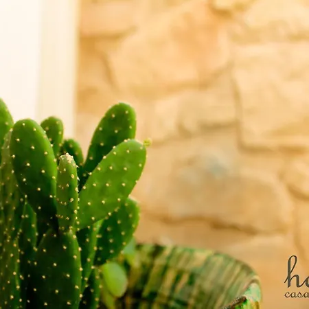 Prázdninový dům Casa Ragusa